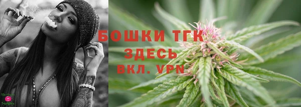МДПВ Бородино