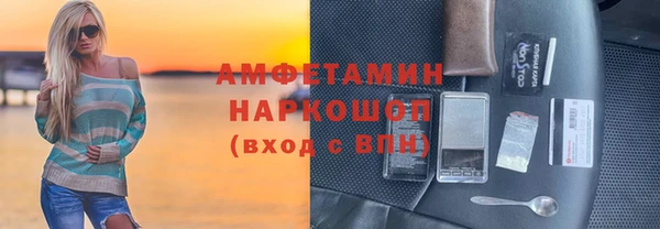 МДПВ Бородино