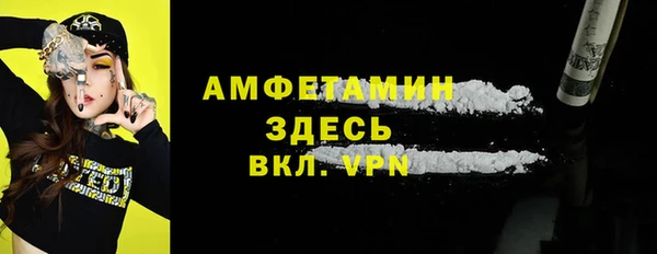 МДПВ Бородино