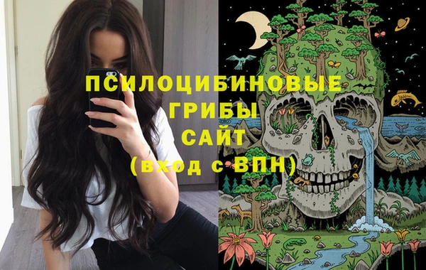 МДПВ Бородино