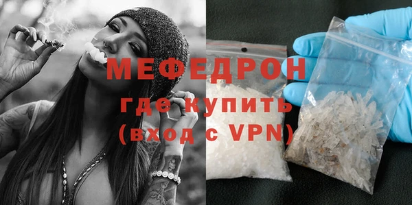 МДПВ Бородино