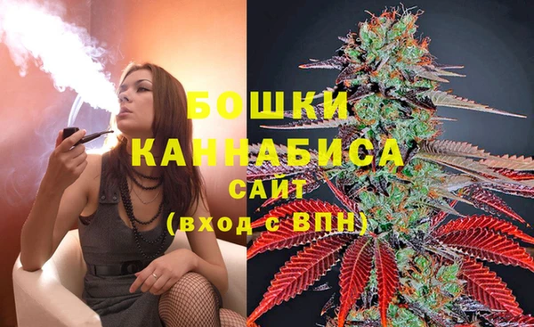 МДПВ Бородино