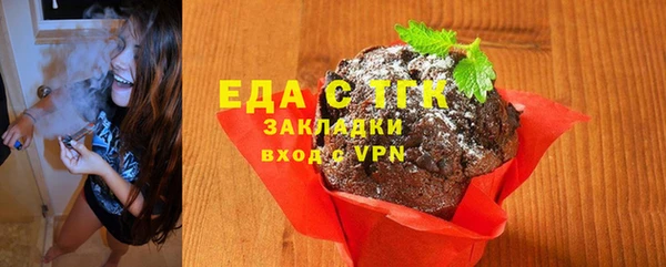 МДПВ Бородино