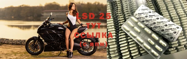 МДПВ Бородино