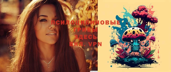 гашик Бронницы