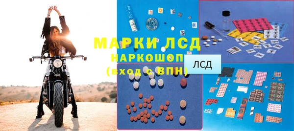 МДПВ Бородино