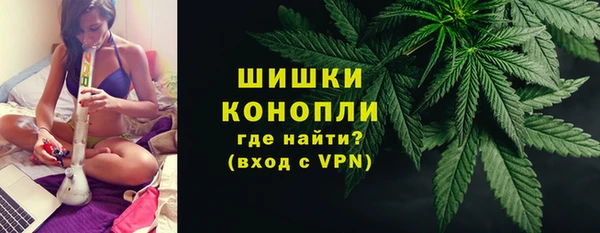 МДПВ Бородино