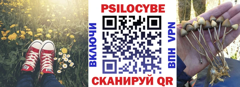 Псилоцибиновые грибы Psilocybine cubensis  Купить закладки  Гаджиево 